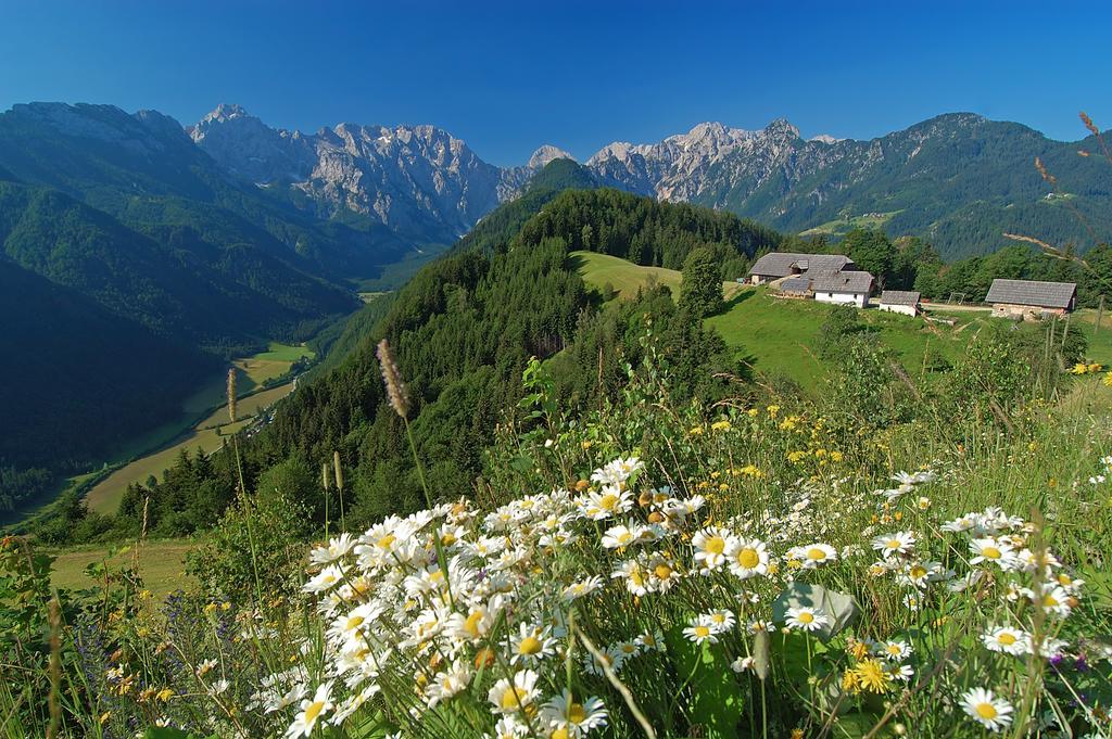 Farmhouse Stiftar Solčava Esterno foto
